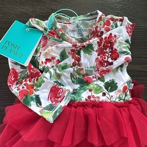 Posh Peanut Red and Green Floral Baby Dress